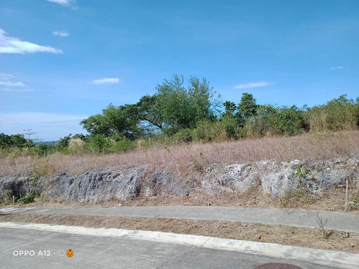 Prime 488 sqm Beach Lot For Sale in Playa Calatagan Village Calatagan batangas