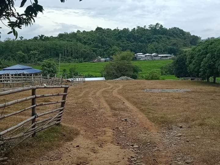 5 hectare Farm Land for sale fully developed and ready for occupancy in Mayantoc Tarlac