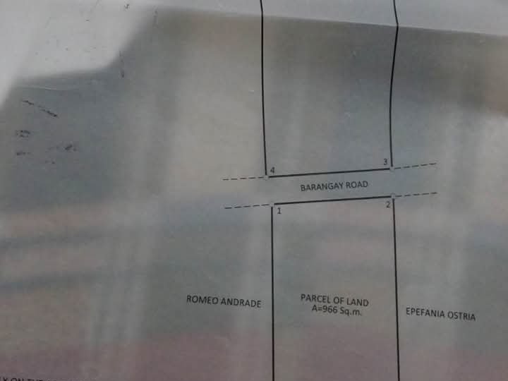 Lot for Sale in Camotes Island, San Francisco