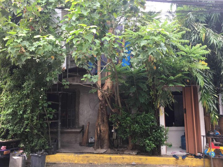 219 sqm Residential Lot  for sale in Taguig