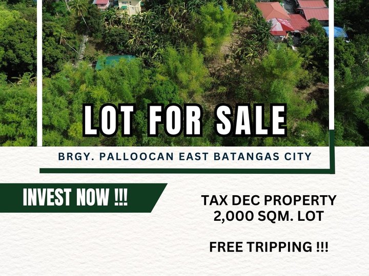 2,000 sqm Residential Lot For Sale in Batangas City Batangas
