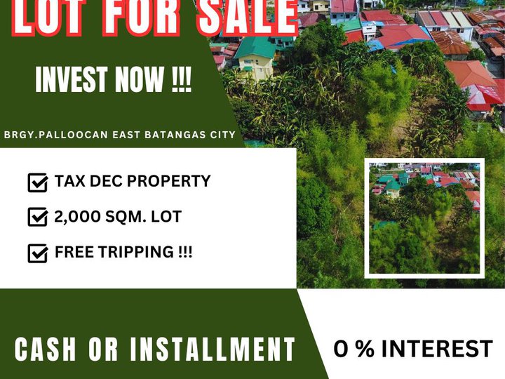 2,000 sqm Raw Land For Sale in Batangas City Batangas