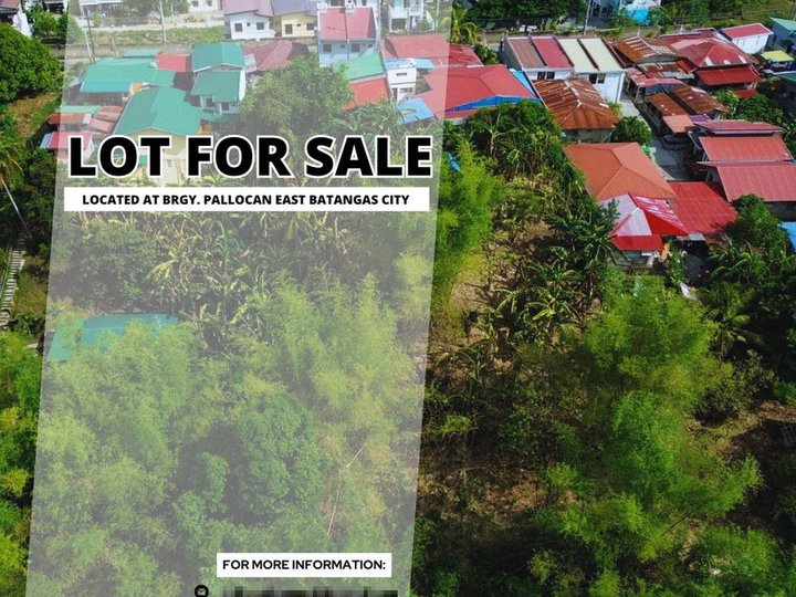 2,000 sqm Raw Land For Sale in Batangas City Batangas