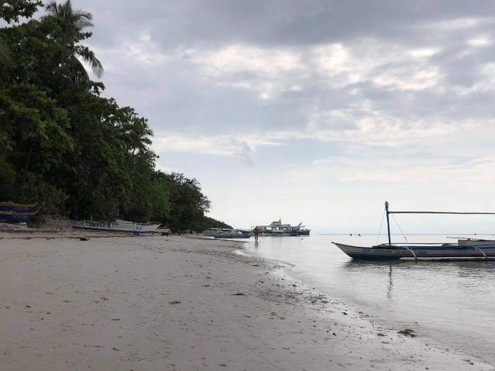 Affordable Lot for Sale in Panglao Bohol