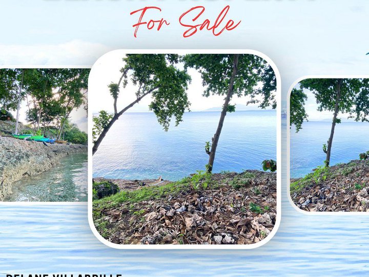 2 hectares Beach Property For Sale in Samal Davao del Norte