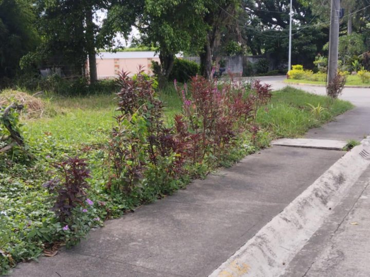 280 sqm Residential Corner Lot for Sale in Maravilla Subd. Gen. Trias Cavite