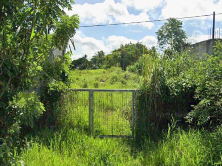 FARM LOT CLEAN TITLE ALONG KAYKWIT RD (PROV'L. RD) INDANG