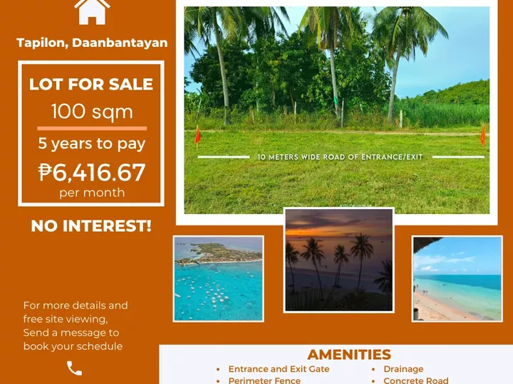 100 sqm Residential Lot For Sale in  Tapilon Daanbantayan Cebu