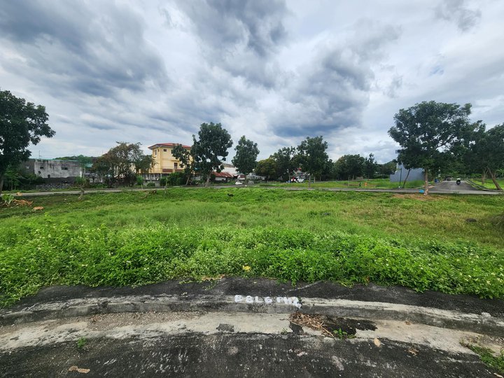 166 sqm Residential Lot For Sale at Metropolis East Subdivision Tayuman, Binangonan Rizal