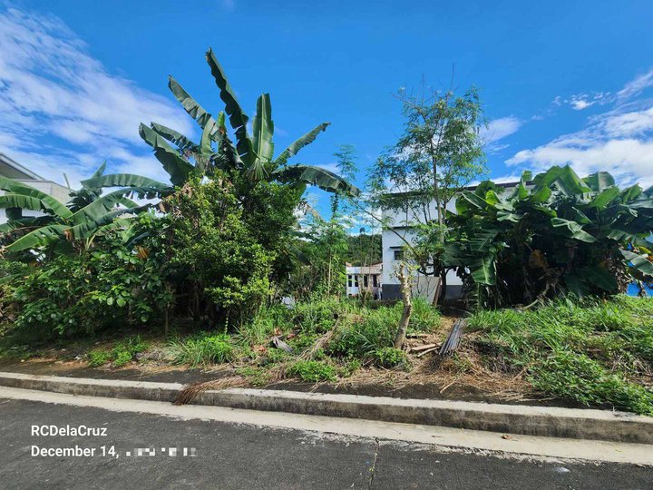 Sumulong  164 sqm Residential Lot For Sale in Antipolo Rizal