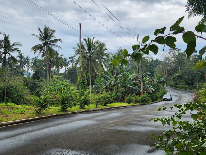 Lot in Ponderosa Leisure Farm For Sale  in Silang Cavite