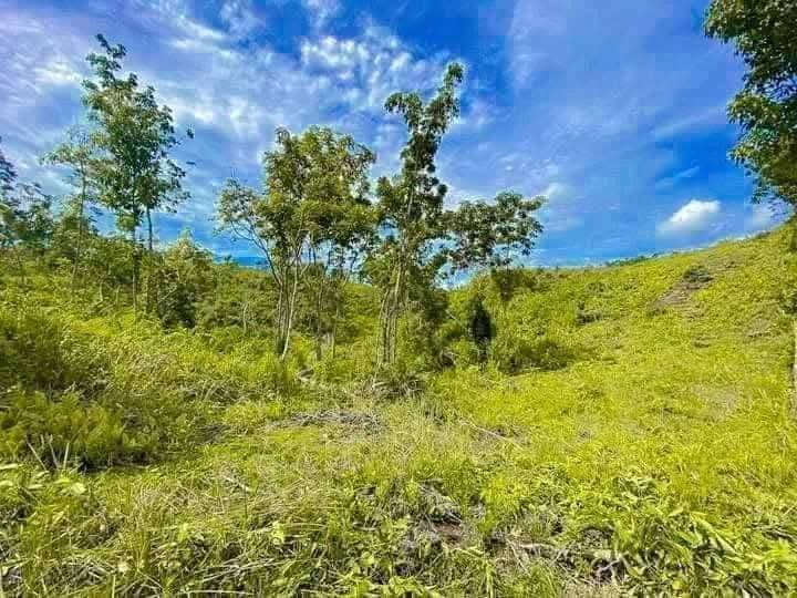 Lot for Sale as low as 5,636 per month, 84 months to pay at New Lourdes Cortes Bohol.