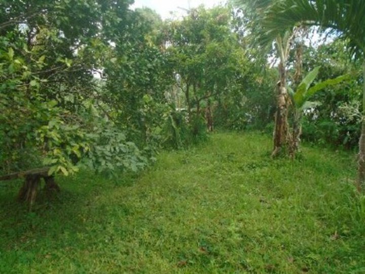 Foreclosed 1.98 hectares Residential Lot For Sale in San Pablo Laguna