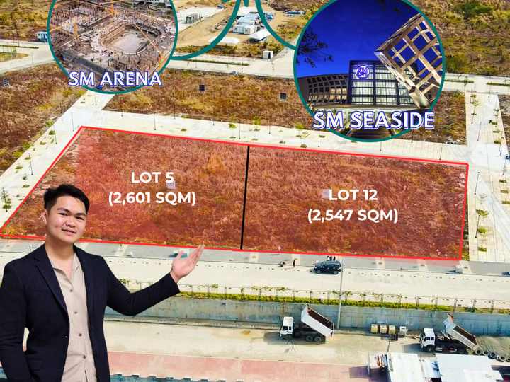 2,547SQM LOT BESIDE SM SEASIDE AND SM ARENA (South Coast City)