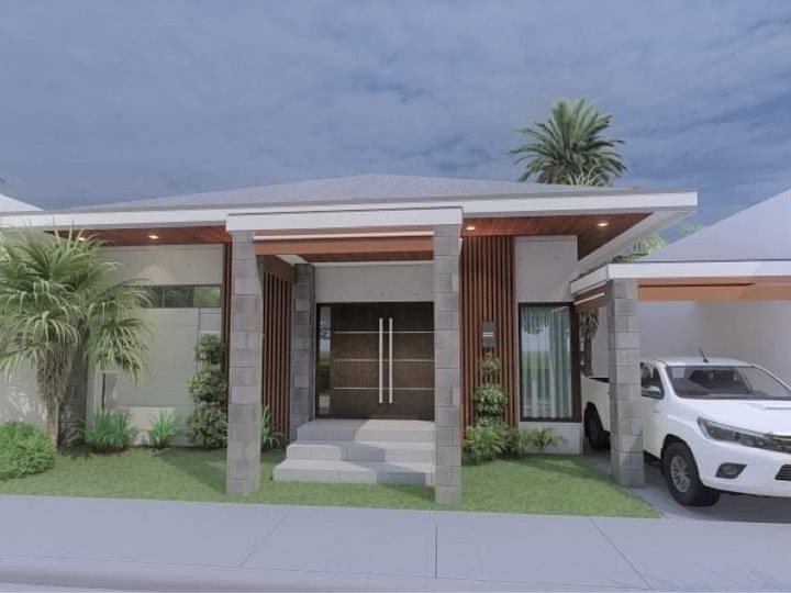 FOR SALE ! Bungalow House and Lot  at Bacolor near SM Telebastagan