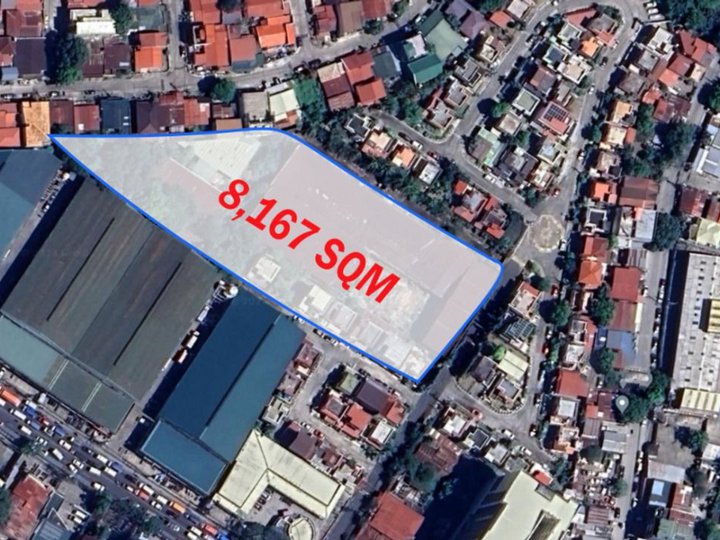 8,167 sqm Commercial Lot For Sale in Las Pinas Metro Manila