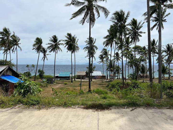 RAWLAND IN MINDORO WITH POSSIBLE EXPANSION TO SHORELINE ADJACENT TO KASAY BEACH