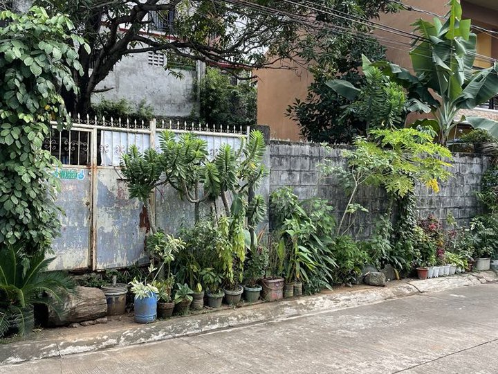 150 SQM Lot for Sale in Camarin, Caloocan City