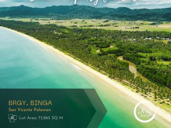 Titled 1.74 hec beach lot in San Vicente Palawan