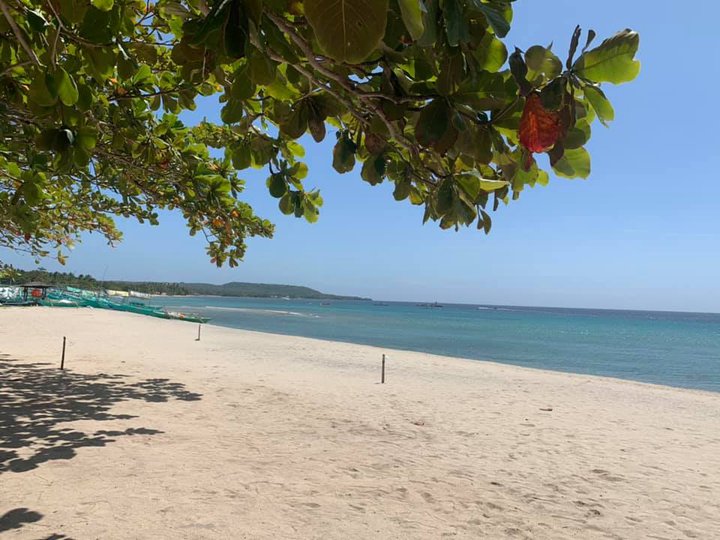 Playa Laiya Beach Lot Property For Sale Laiya Aplaya San Juan Batangas