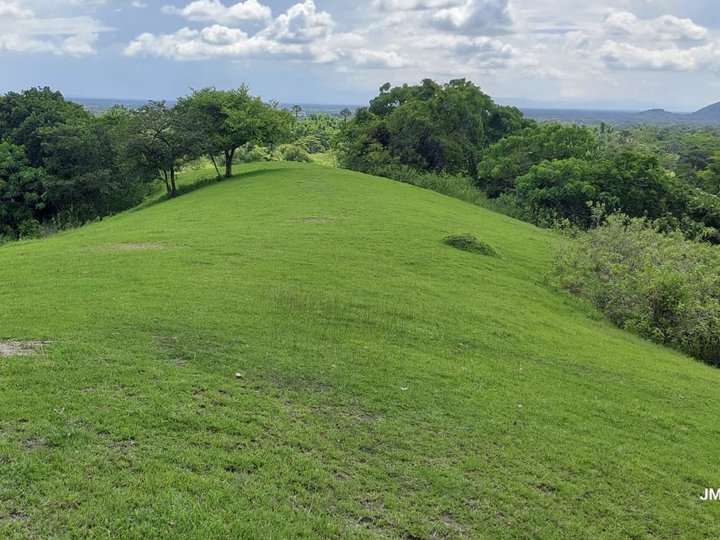 1 hectare Agricultural Farm For Sale in Cuyapo Nueva Ecija