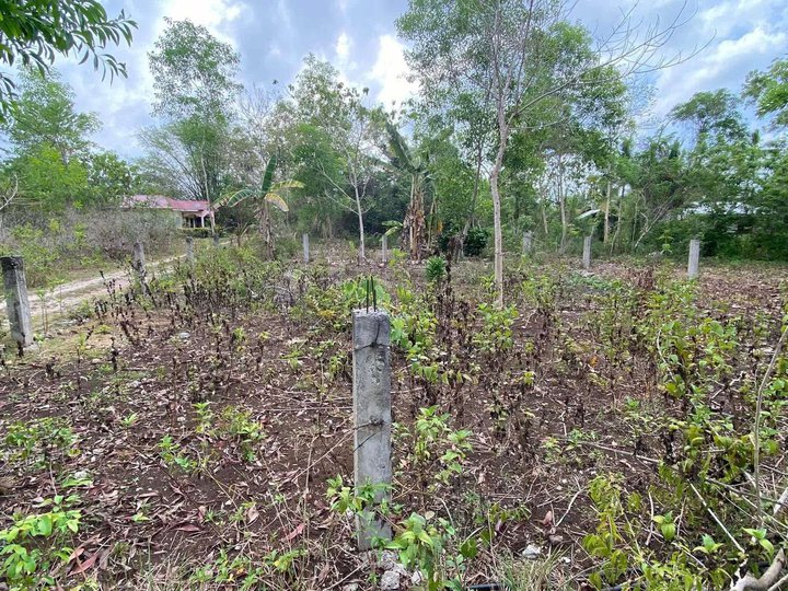 RUSH LOT FOR SALE near Cristal e College