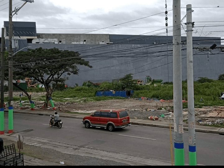 Commercial Lot for sale at Bignay Valenzuela City ( 22,000 sqm)