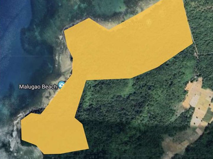 34.55 hectares Commercial Lot For Sale by Ayala Land in Bangkalen Brgy. Masagana El Nido Palawan