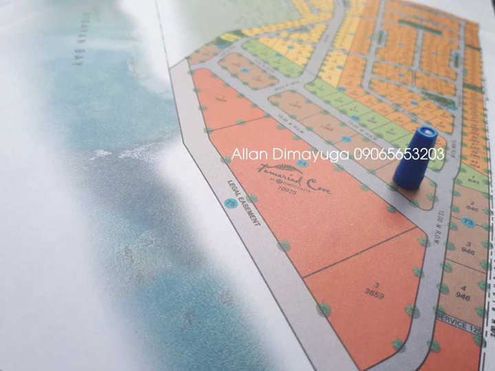 RUSH SALE Laiya Beach Commercial/ residential lot for sale 1354 sqm