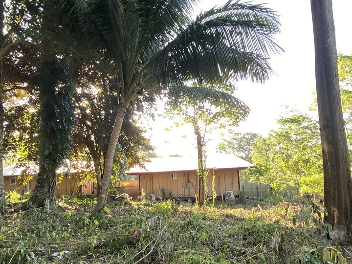1252 sqm Residential Overlooking Lot For Sale in Samal Davao del Norte