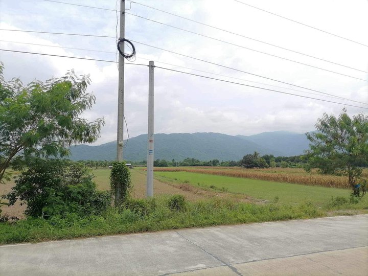 8.82 hectare Residential Lot For Sale in Bongabon Nueva Ecija