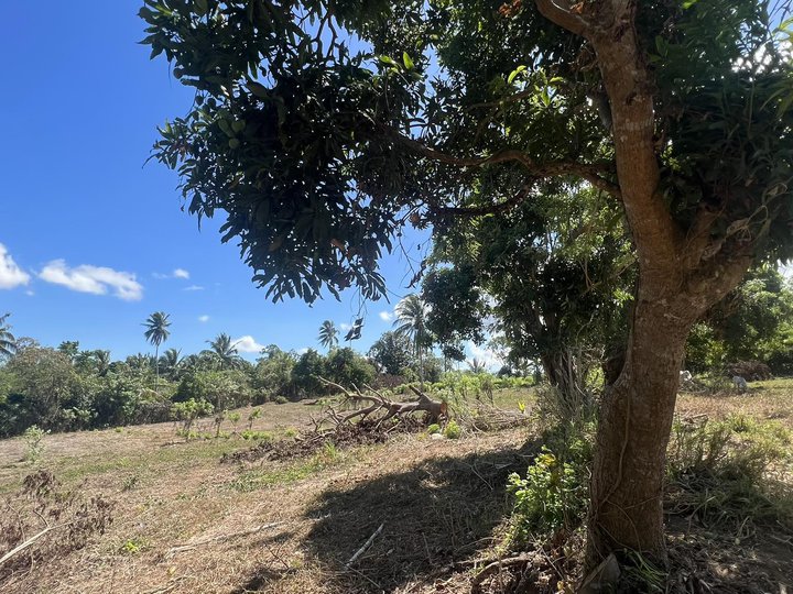 3 years to pay straight payment farm lot for sale in Alfonso near Tagaytay