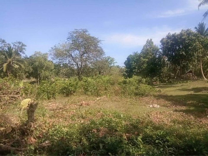 For Sale Commercial Lot in San Vicente, Palawan