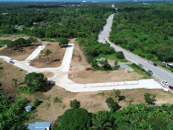 1,000sqm Farm Lot for sale in Amadeo near Tagaytay