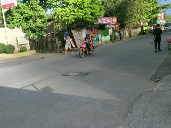 Fully Fenced Industrial Commercial Property in Mandaue City