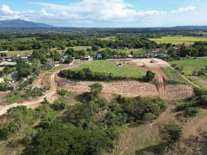 FARM LOT FOR SALE AT MOUNTAIN VIEW LEISURE FARM NASUGBU BATANGAS [Lot 🚜