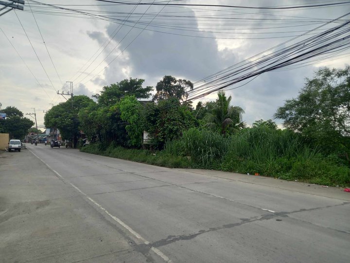 2.2 hectares commercial lot for sale Sta.Maria Bulacan along highway [Lot 🚜] (October 2023) in