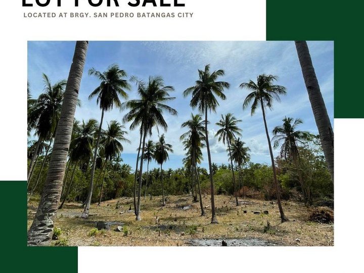 4,800 sqm Residential Lot For Sale in San Juan Batangas