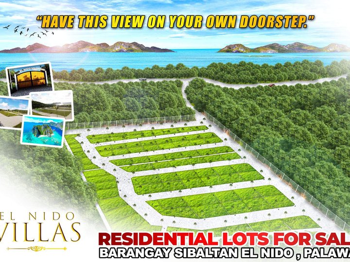 Residential Lot For Sale in El Nido, Palawan