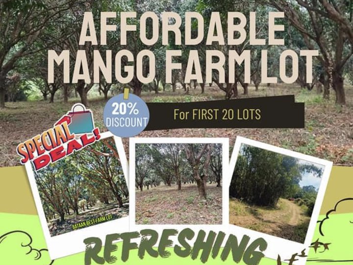 1000 sqm Residential Farm For Sale in Abucay Bataan [Lot 🚜] (July 2023
