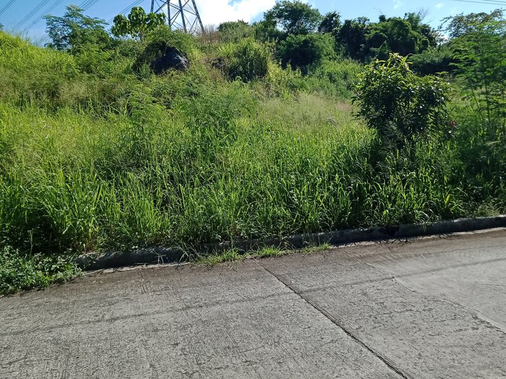 922 sqm Residential Lot For Sale in Antipolo Palos Verdes Subd