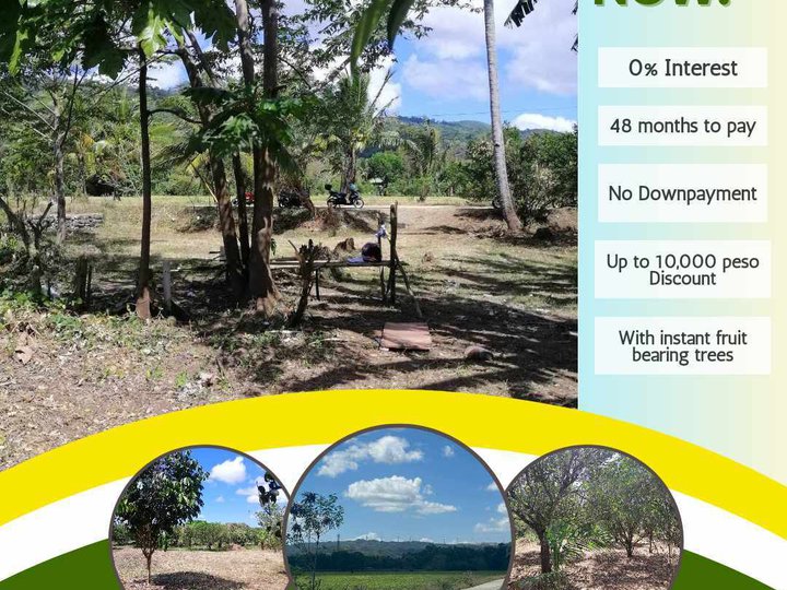 100 sqm Residential Lot For Sale in Santa Maria Laguna [Lot 🚜] (August