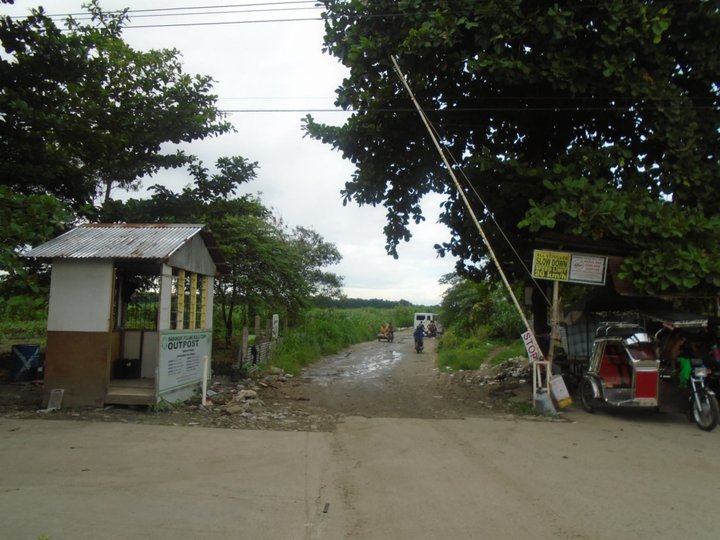 SALE: 9608 sqm Farm lot in Pulung Bulu, San Fernando Pampanga