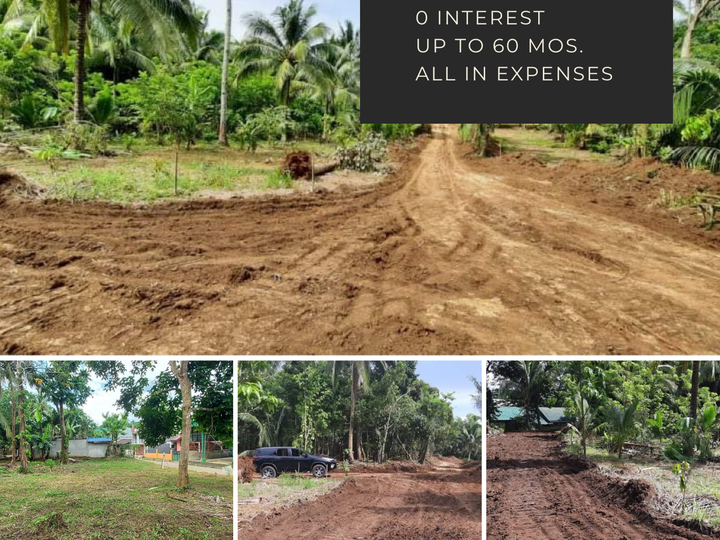 5 yrs to pay Farm Lot near Tagaytay City/ Turn over 30% Downpayment