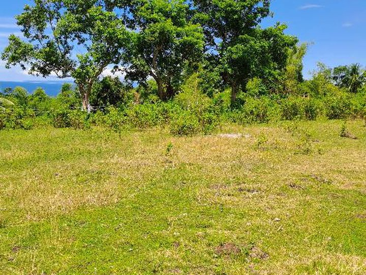 Overlooking Residential lot