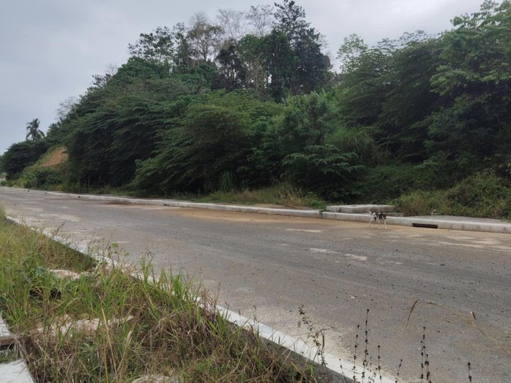 3.5 hectares Farm Lot For Sale in Cagayan De Oro Misamis Oriental