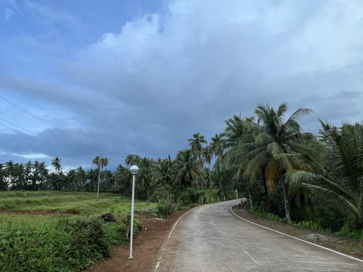 Farmlot located at San Isidro Casiguran