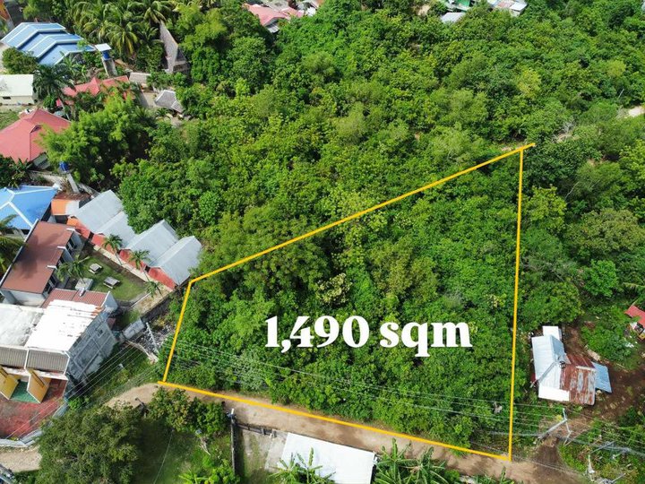 COMMERCIAL LOT FOR SALE WALKING DISTANCE TO ALONA PANGLAO