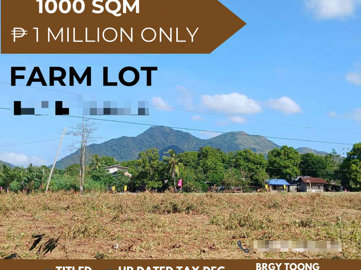 1,000 sqm Residential Farm For Sale in Tuy Batangas