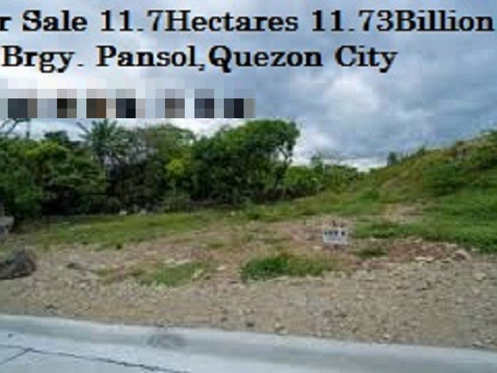 I'm Selling Residential/Commercial Rawland in Brgy. Pansol,Quezon City 11.7Hectares 11.7Billion